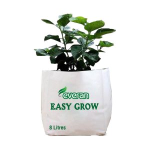 Easy Grow bag