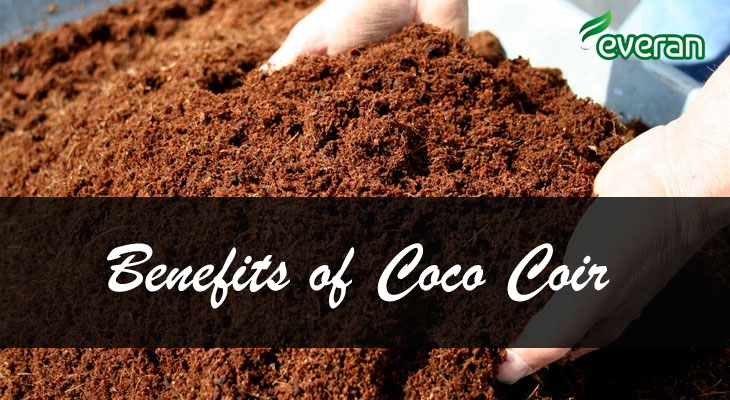 Benefits of Coco Coir