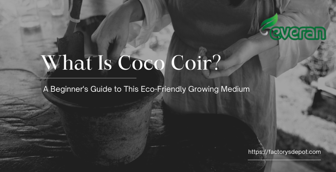 What Is Coco Coir?