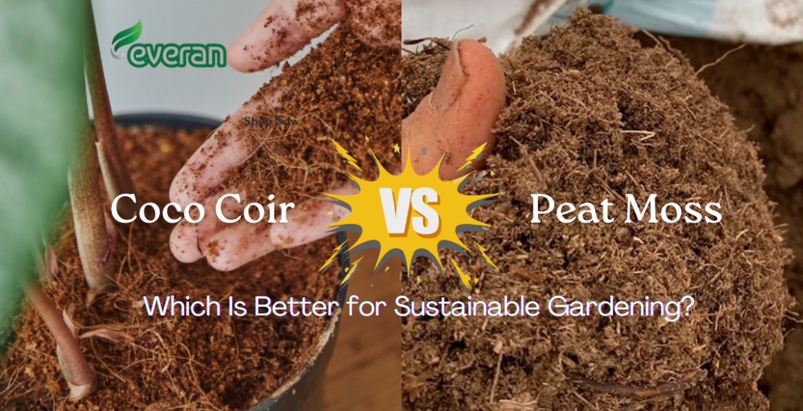 Coco Coir vs Peat Moss Which Is Better for Sustainable Gardening