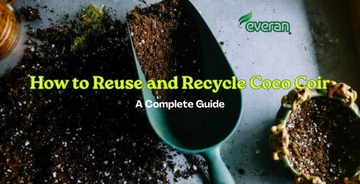 How to Reuse and Recycle Coco Coir