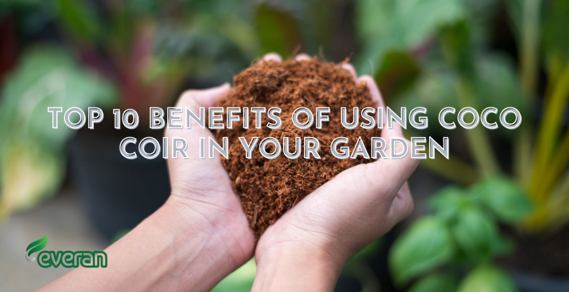 Top 10 Benefits of Using Coco Coir in Your Garden