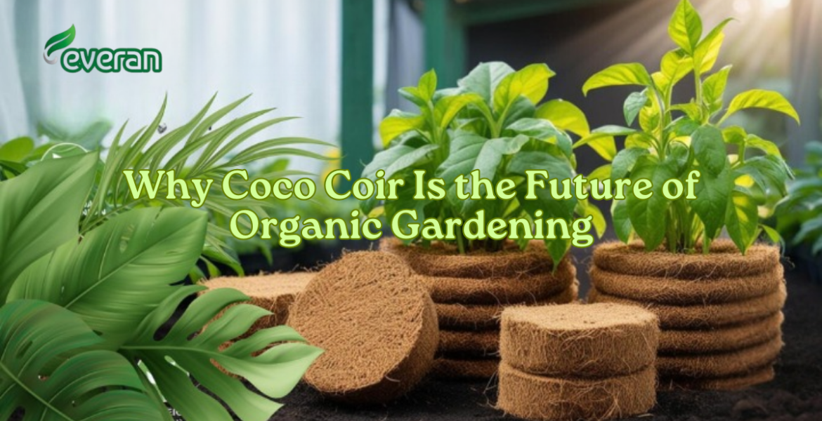Why Coco Coir Is the Future of Organic Gardening