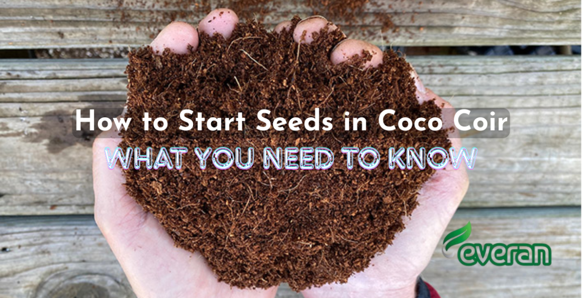 How to Start Seeds in Coco Coir: What You Need to Know