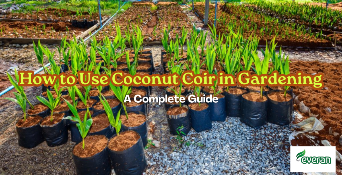 How to Use Coconut Coir in Gardening - A Complete Guide