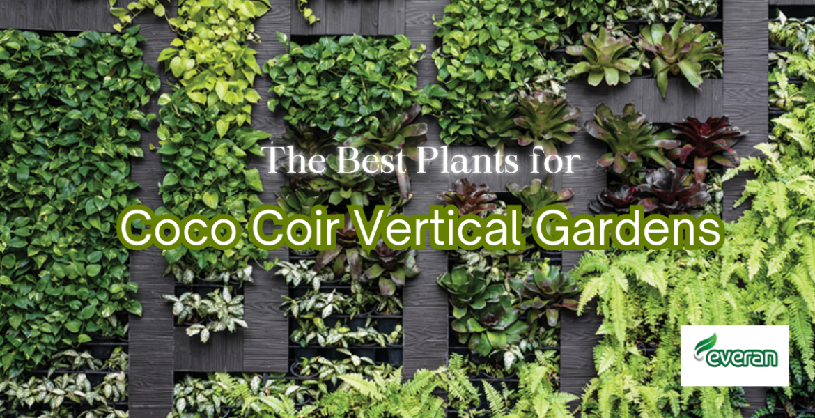 The Best Plants for Coco Coir Vertical Gardens