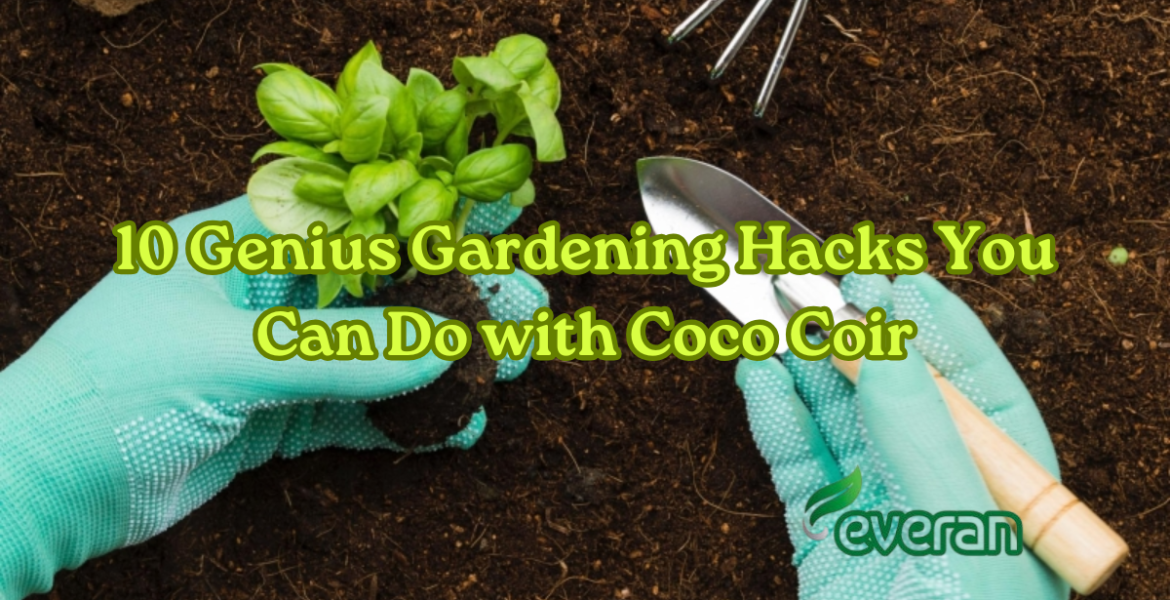 10 Genius Gardening Hacks You Can Do with Coco Coir