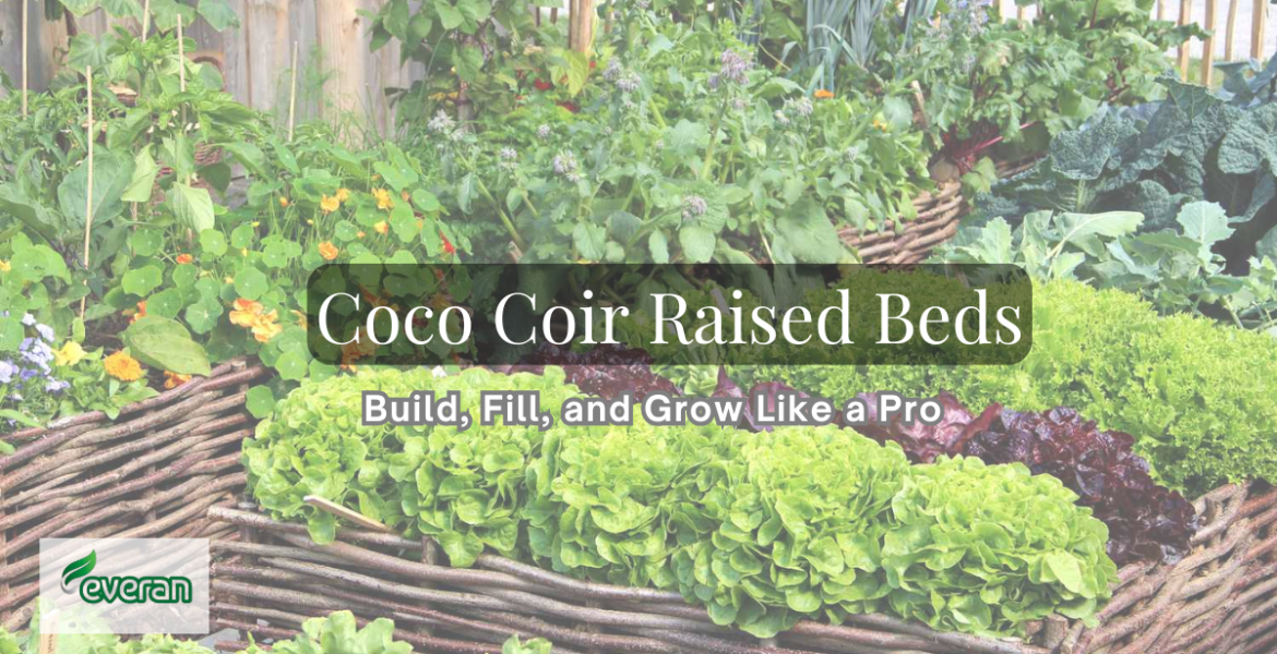 Coco Coir Raised Beds Build, Fill, and Grow Like a Pro