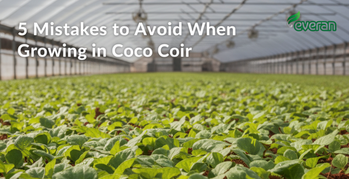 5 Mistakes to Avoid When Growing in Coco Coir
