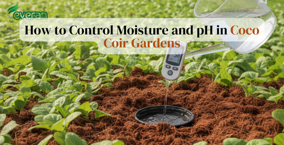 How to Control Moisture and pH in Coco Coir Gardens