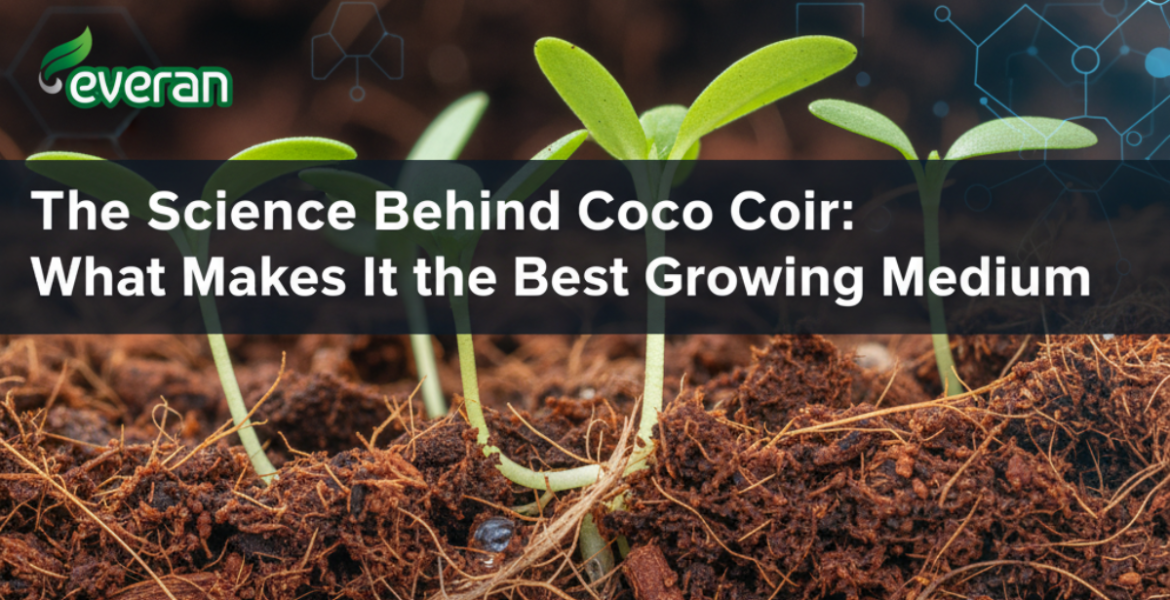 The Science Behind Coco Coir What Makes It the Best Growing Medium